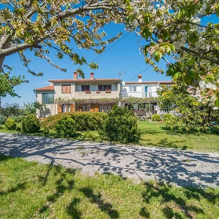 Lägenhet With Terrace In Filipana Marčana